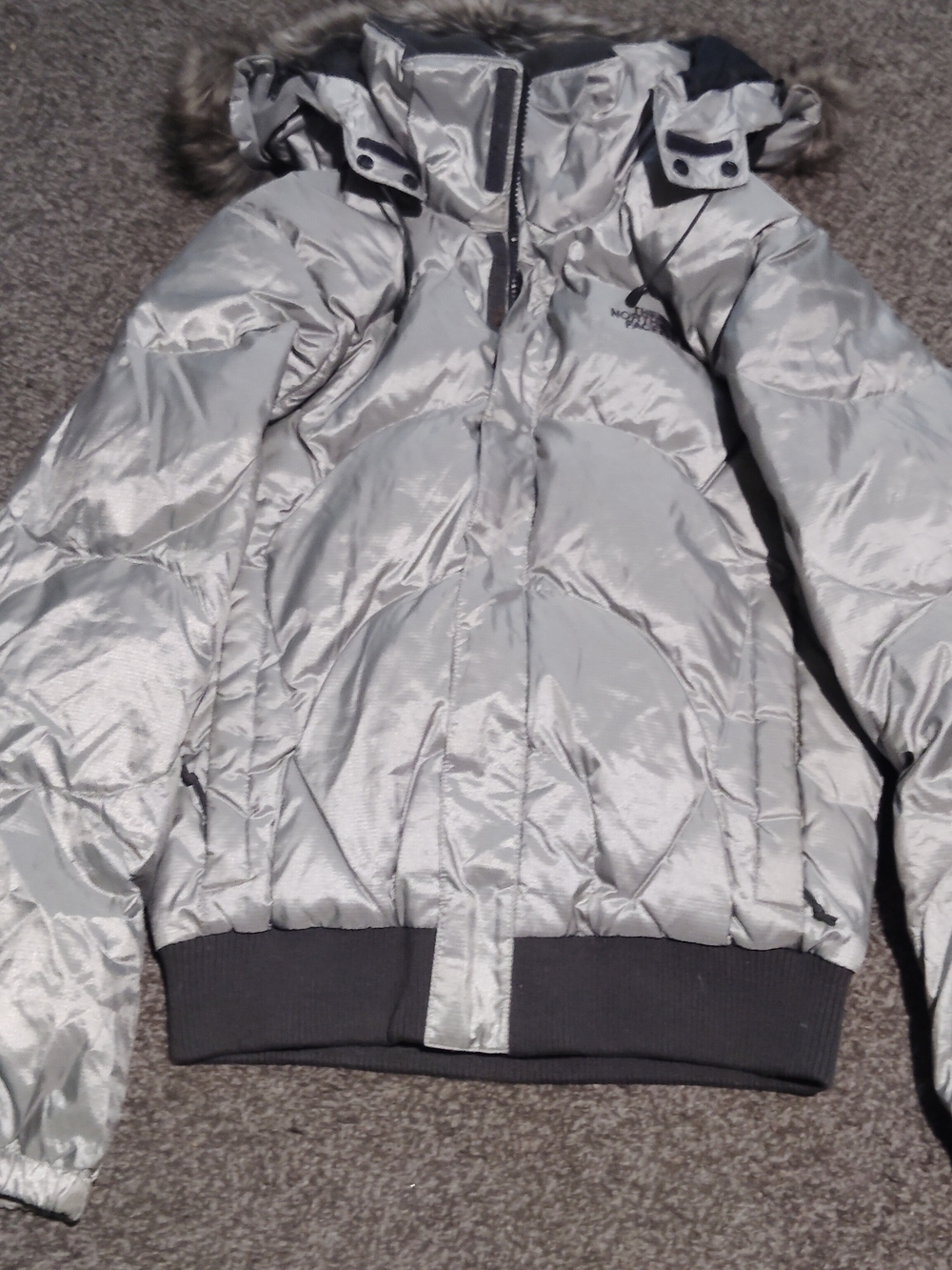 The North Face Metallic Silver Hooded Puffer Jacket